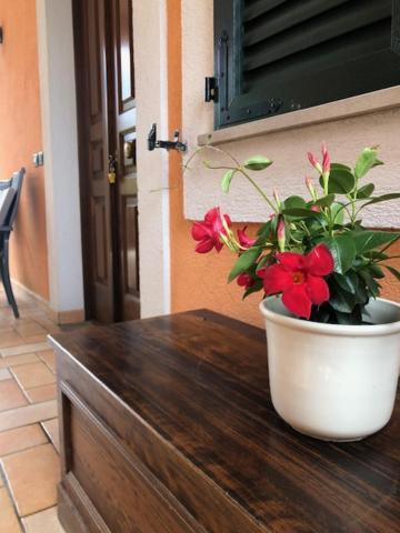 Il Giardino Delle Rose Διαμέρισμα Spello Εξωτερικό φωτογραφία