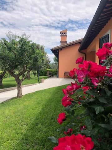 Il Giardino Delle Rose Διαμέρισμα Spello Εξωτερικό φωτογραφία